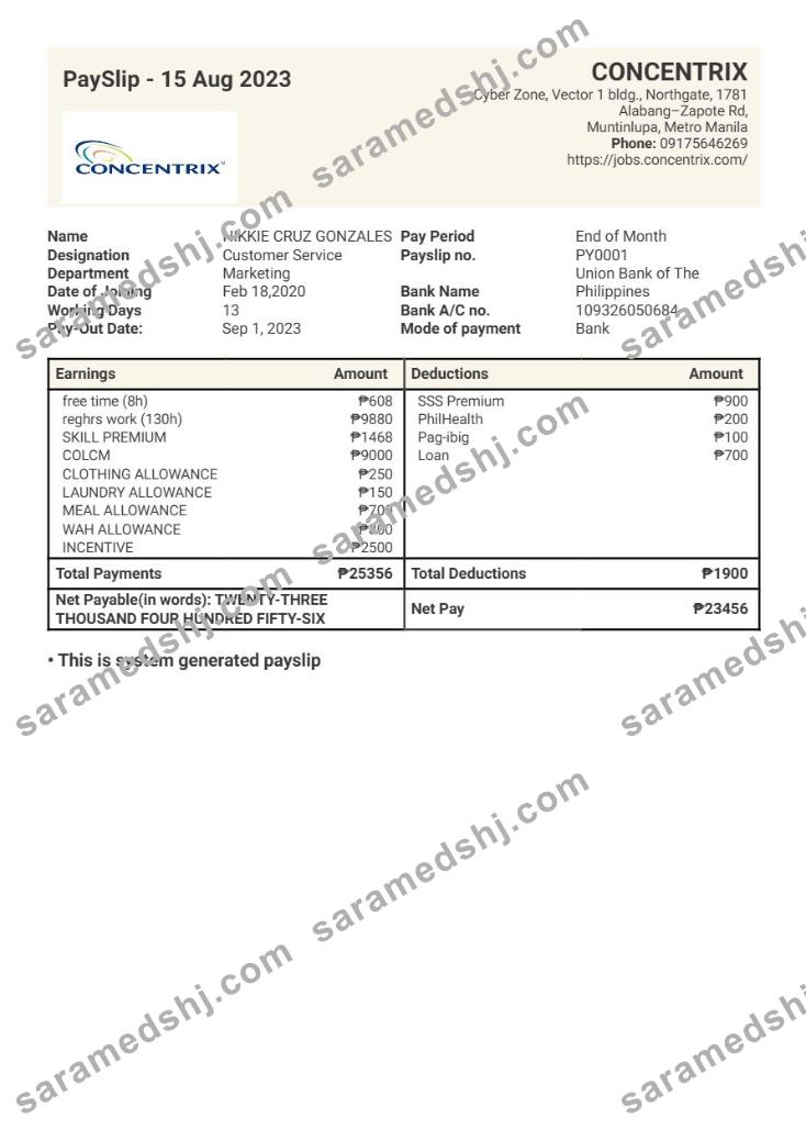 Concentrix technology and services payslip template in Word and PDF formats.pdf, 1